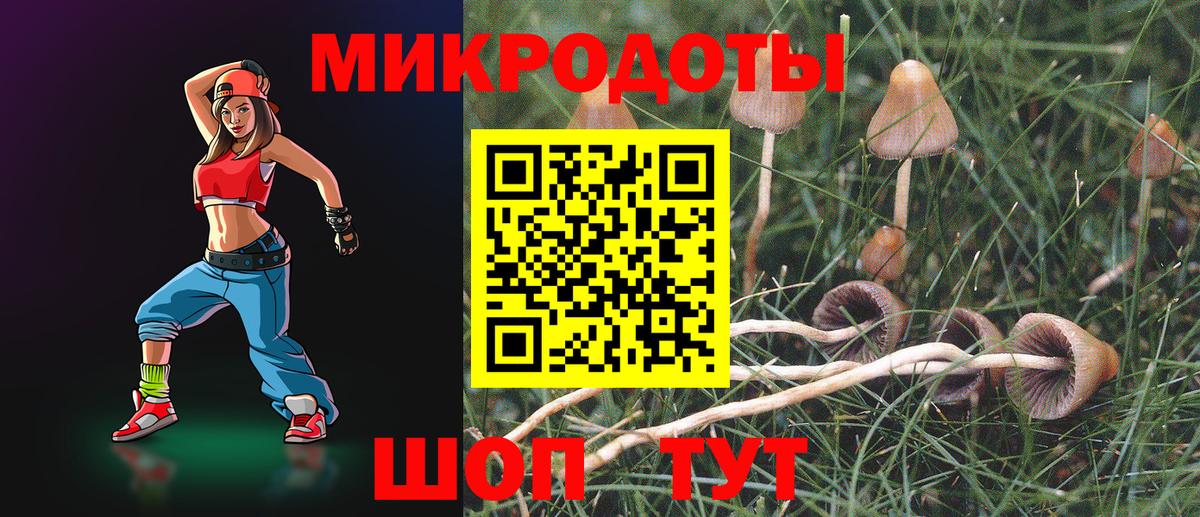Псилоцибиновые грибы Cubensis Петропавловск-Камчатский